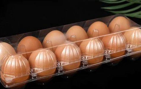 egg-tray-2 egg-tray-2