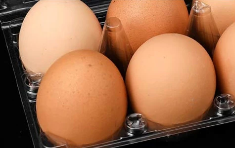 egg-tray-3