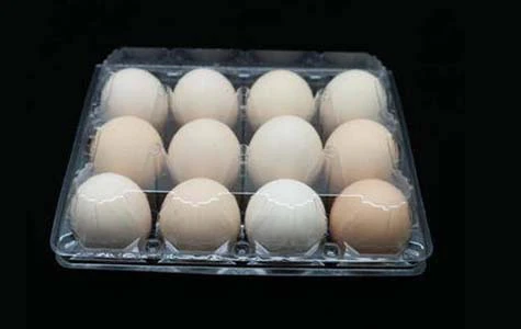 egg-tray-6