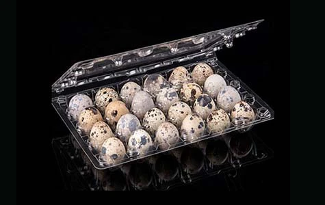 egg-tray-7 egg-tray-7