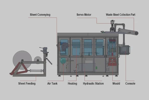 plastic cup thermoforming making machine